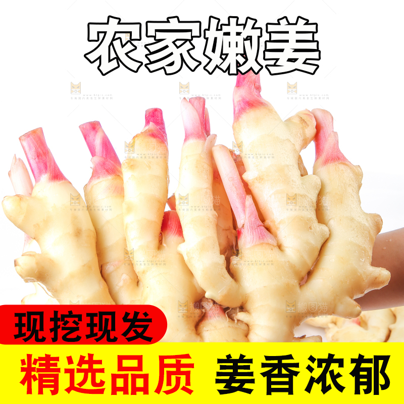 手上捧着的山东嫩姜