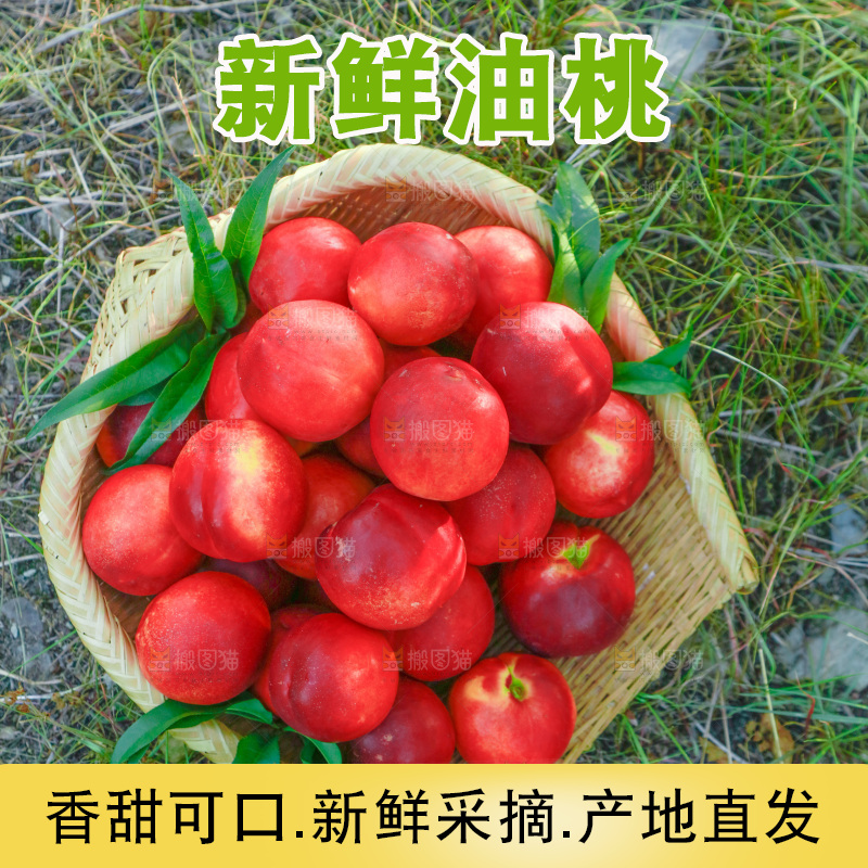 草坪上放着一篮红油桃