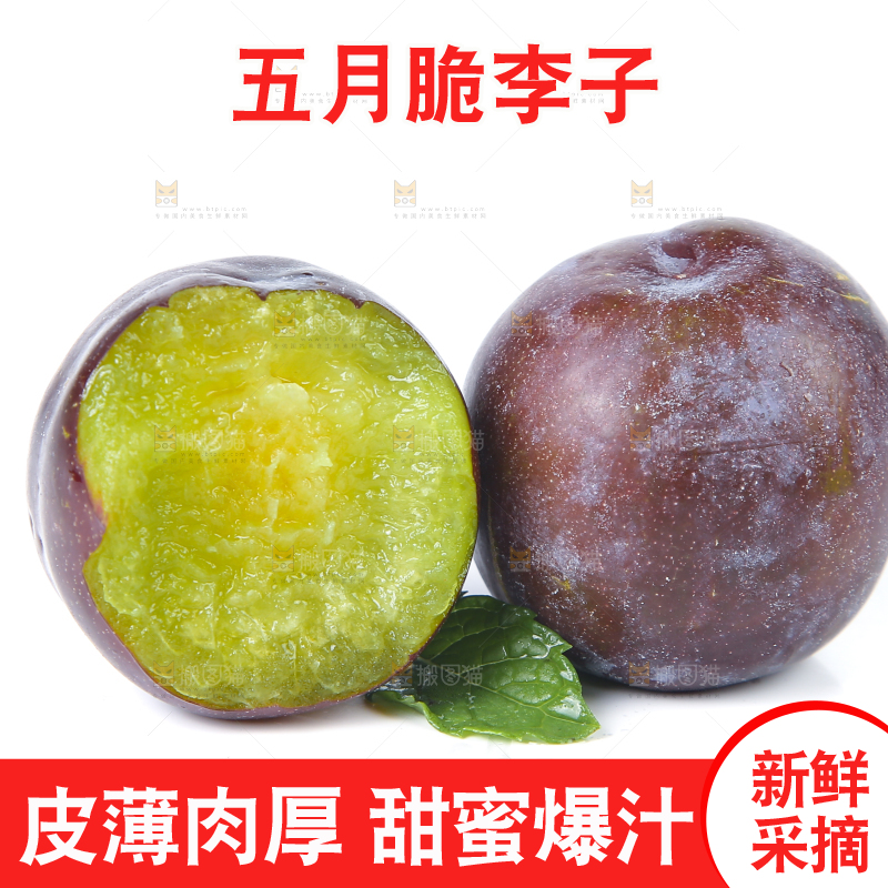 白底上放着五月脆李