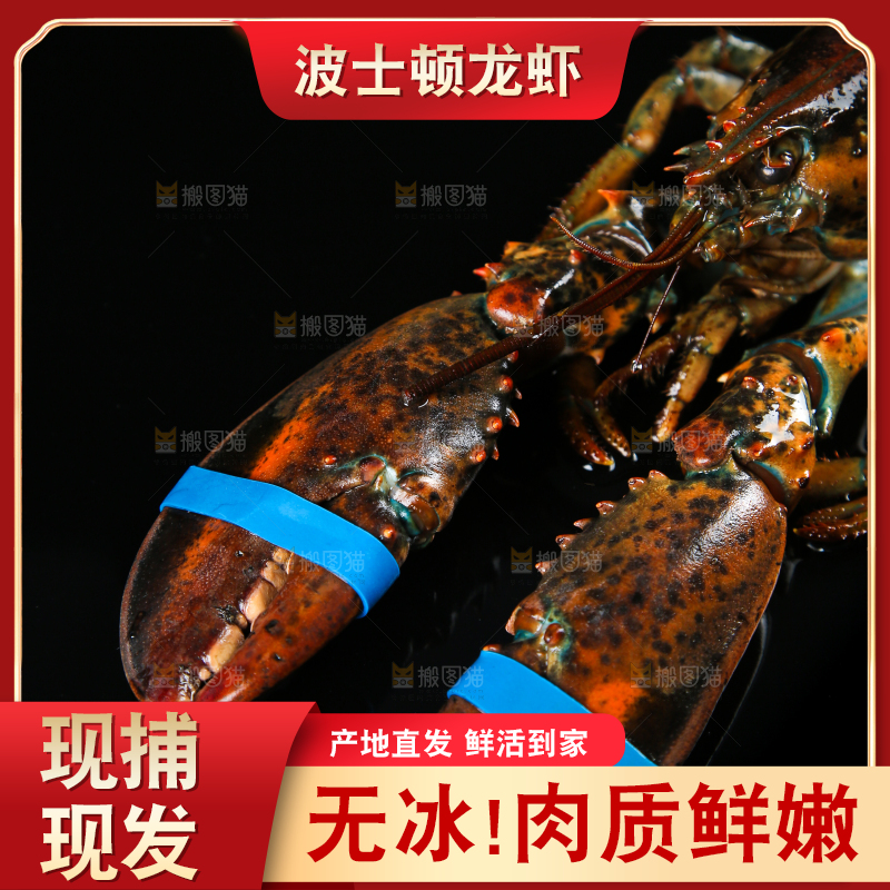 黑底上放着波士顿大龙虾