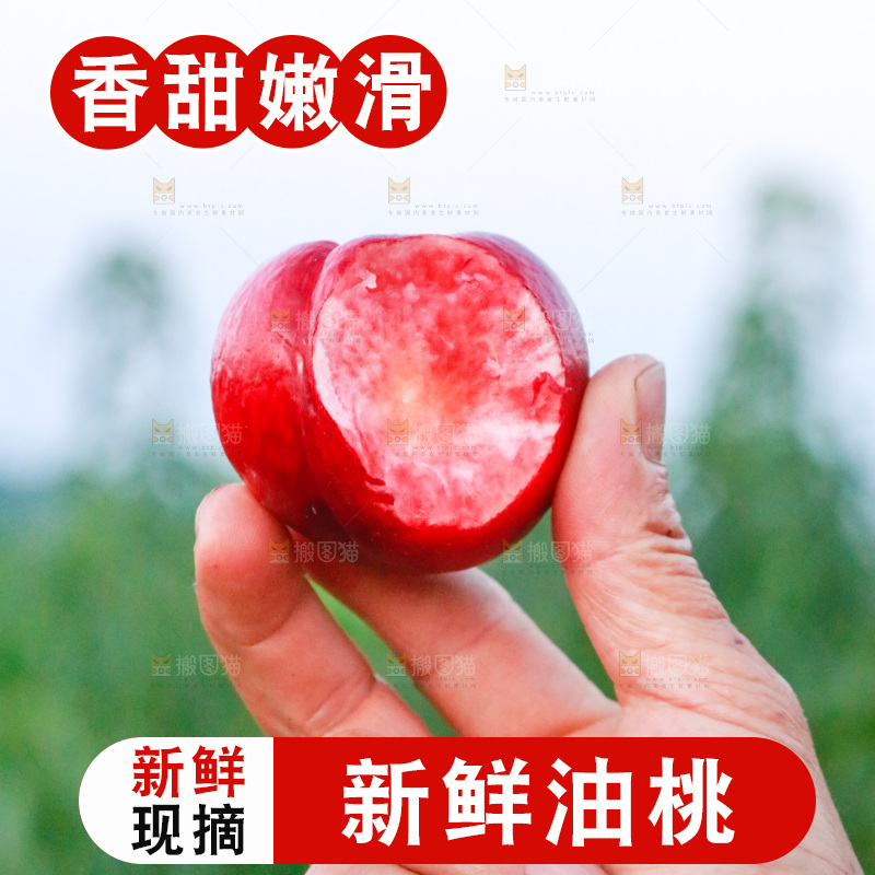 农民手上拿着红油桃