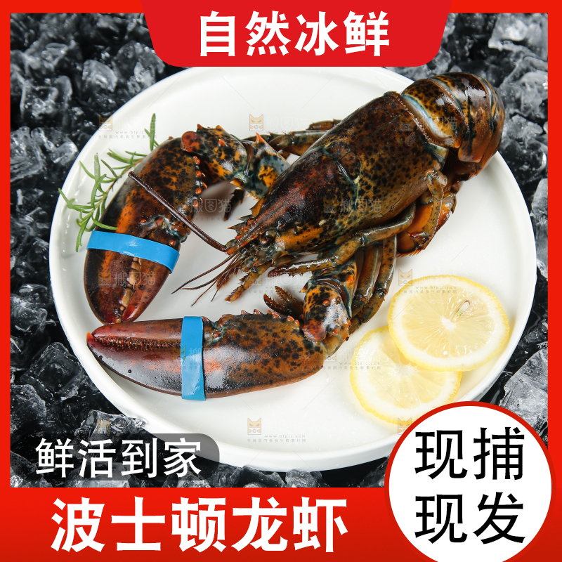 黑底上放着一盘波士顿龙虾