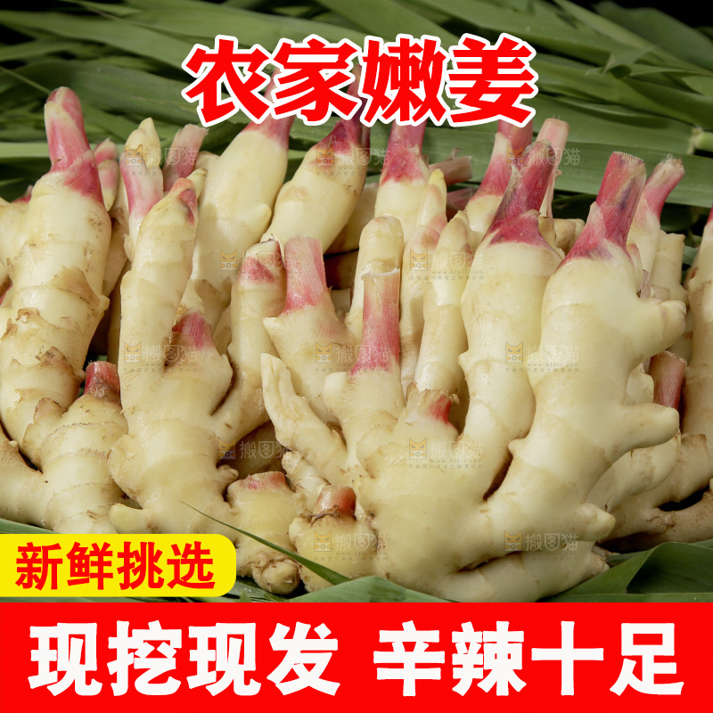 绿草上放着一堆红芽嫩姜