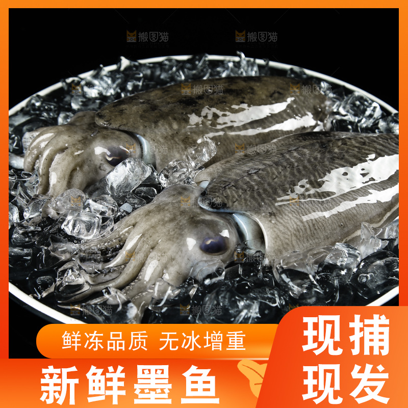 黑底上放着一盘北海墨鱼