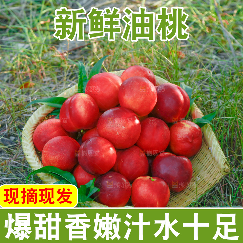 草坪上放着一篮红油桃