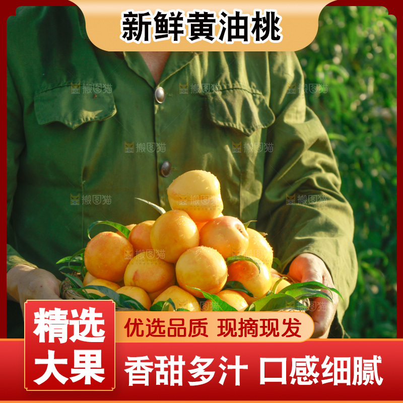 农民手上端着一筐黄油桃