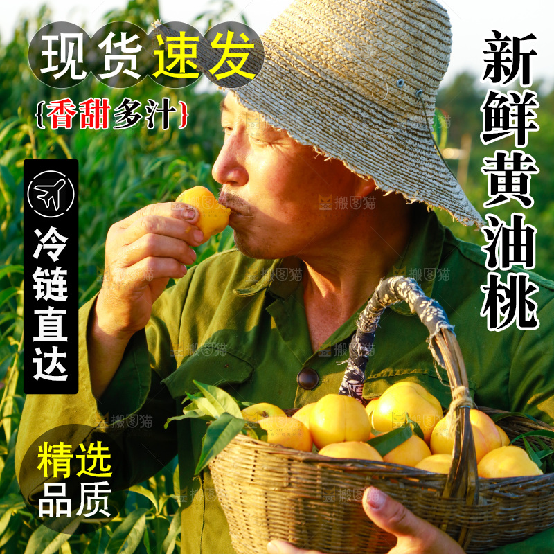 农民手上拿着黄心油桃
