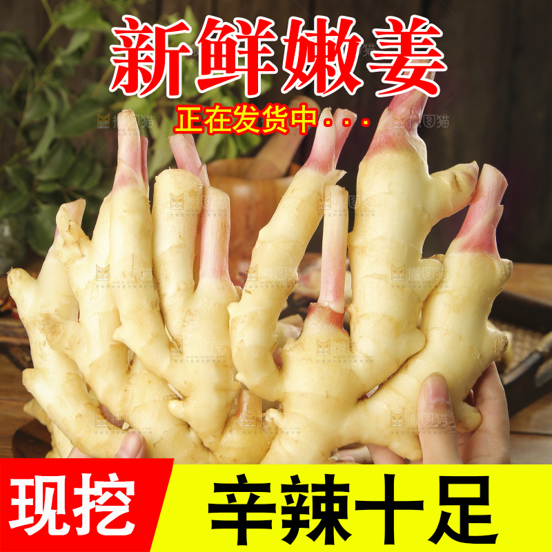 手上拿着的红芽姜