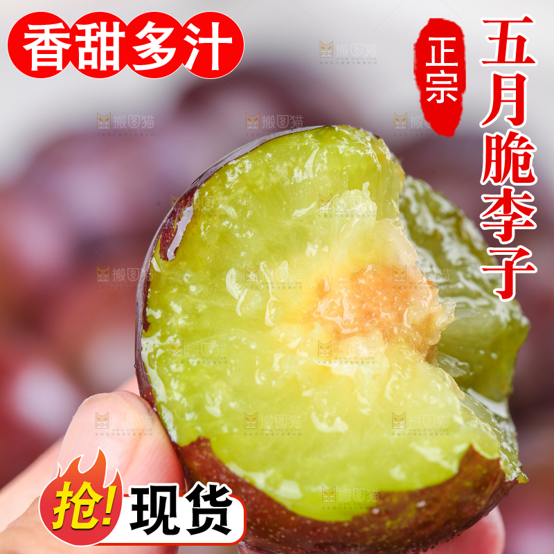 手上拿着凤凰李