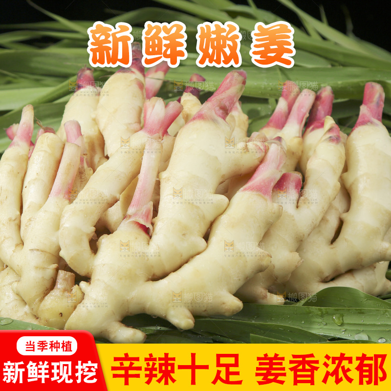 绿草上放着一堆红芽嫩姜