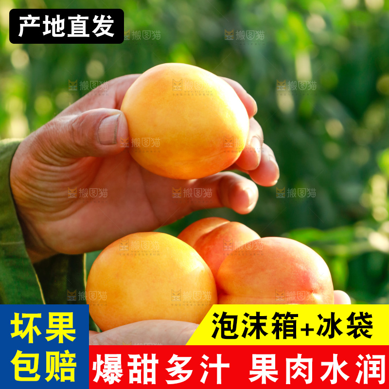 手上放着黄油桃