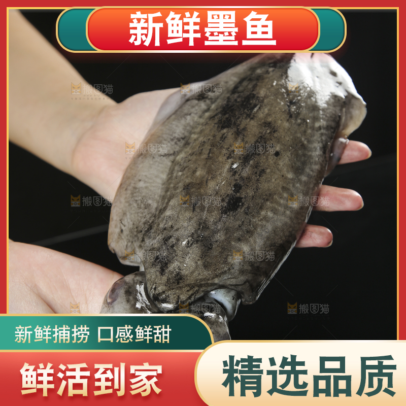 手上捧着大墨鱼