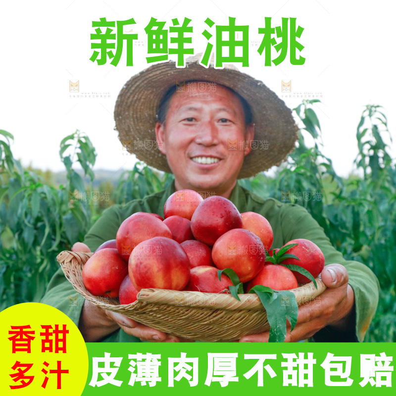 农民手上抱着一筐红油桃