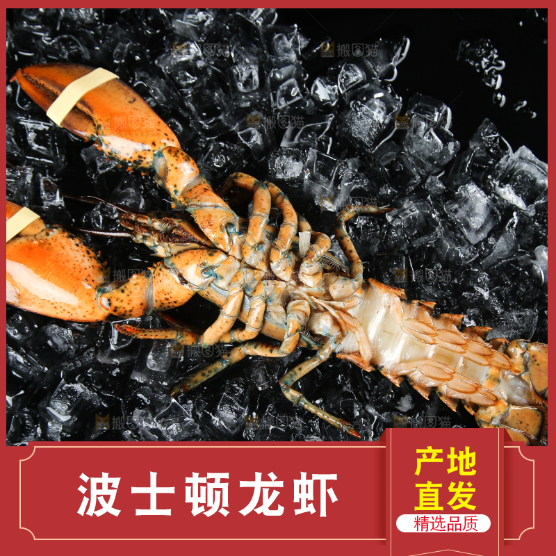 手上捧着波士顿龙虾