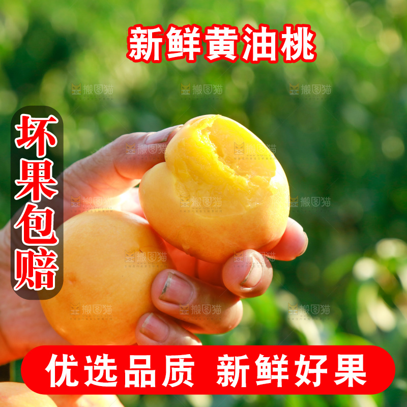 手上拿着黄油桃