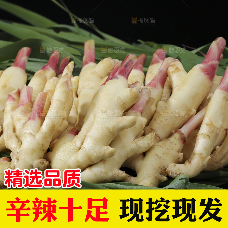 绿草上放着一堆红芽嫩姜