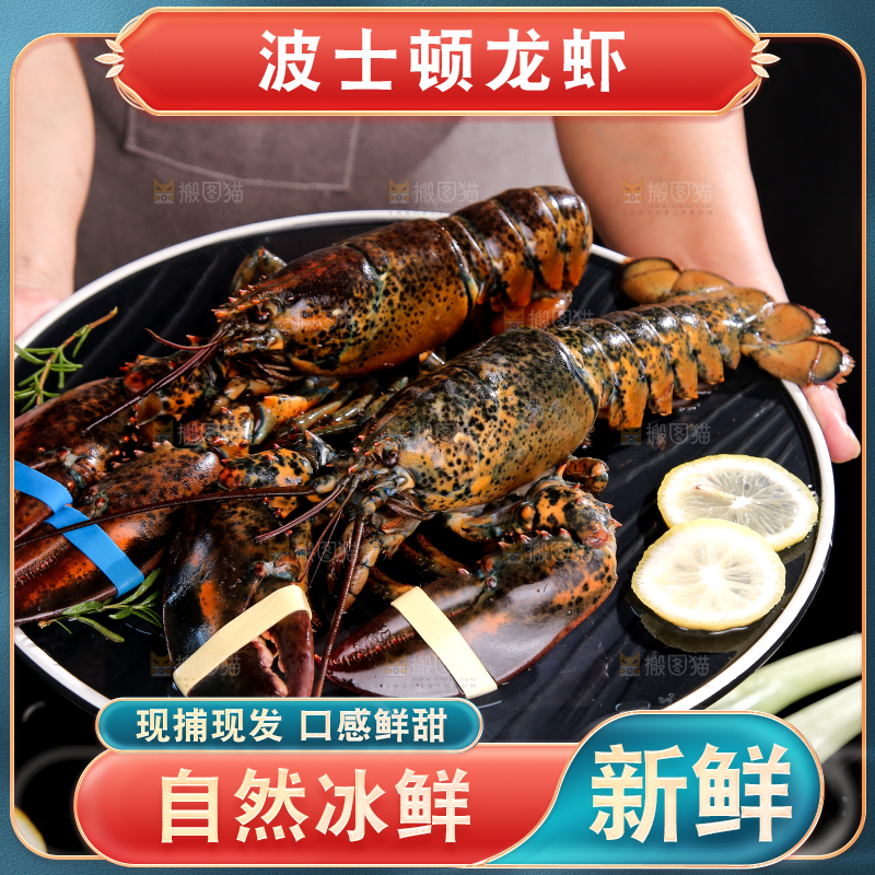 手上端着一盘澳洲龙虾