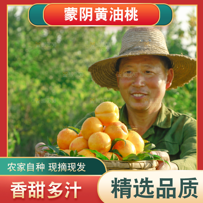 农民手上端着一筐黄油桃