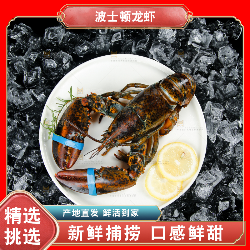 黑底上放着一盘波士顿龙虾