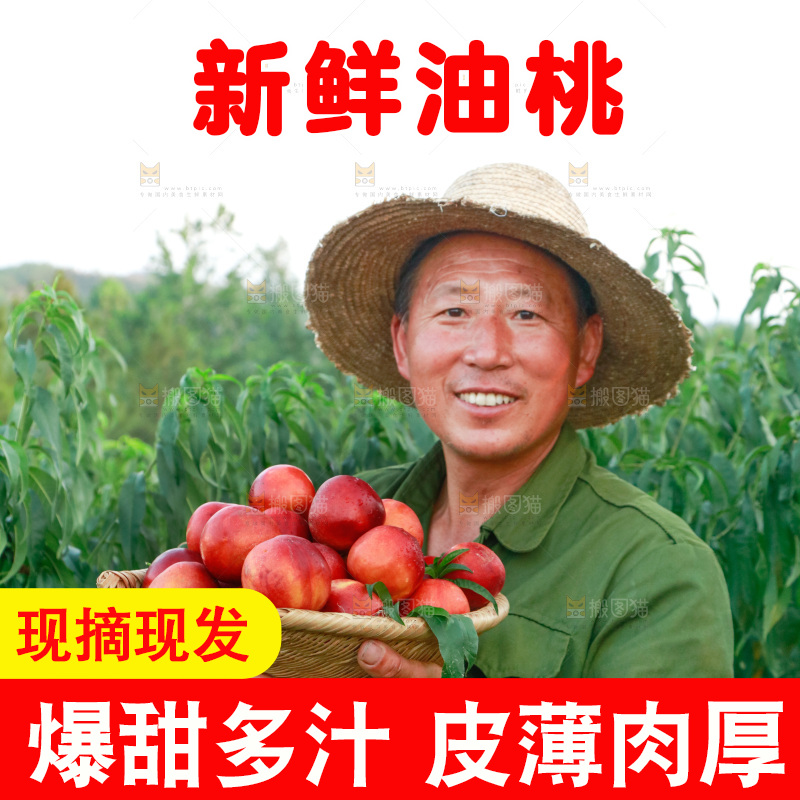 农民手上抱着一筐红油桃