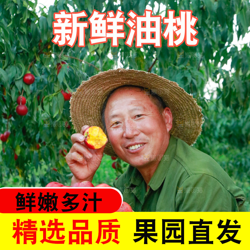 手上拿着红油桃