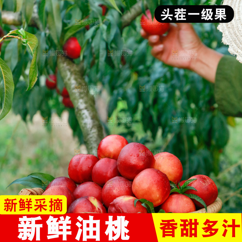 农民手上抱着一筐红油桃
