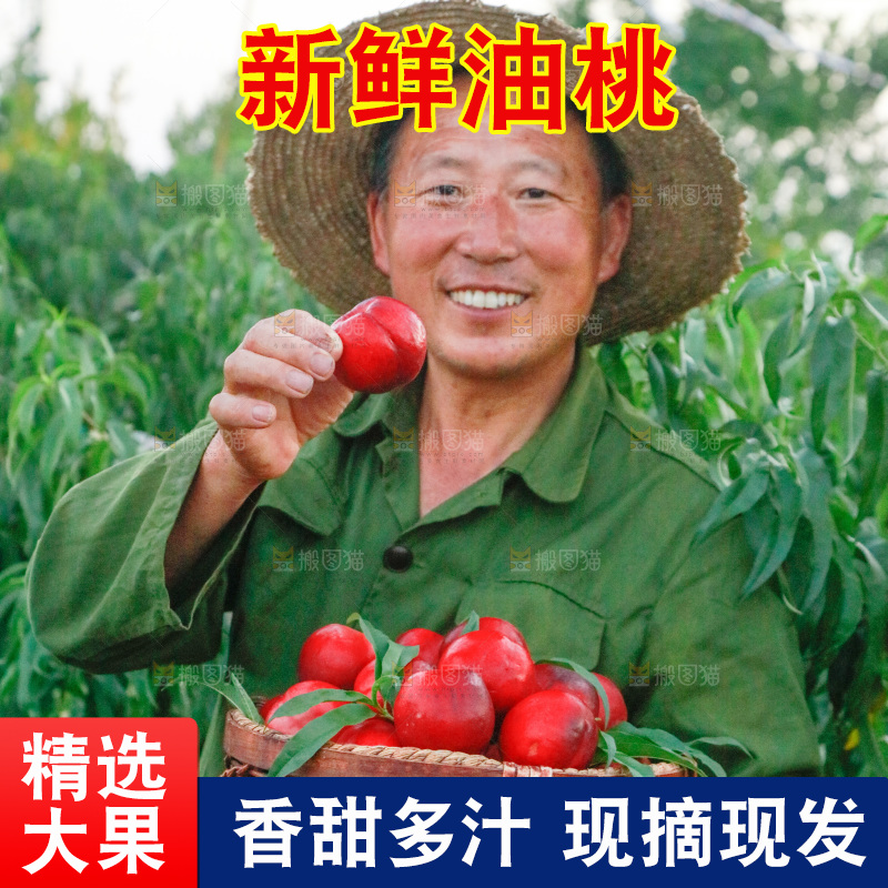 农民手上端着一筐红油桃
