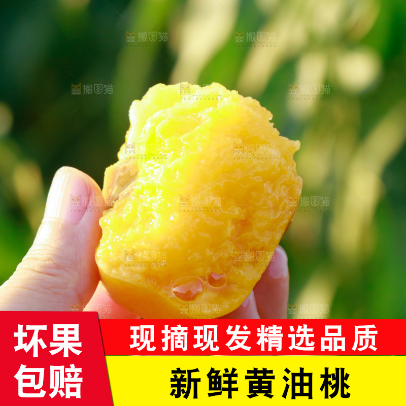 手上拿着黄心油桃