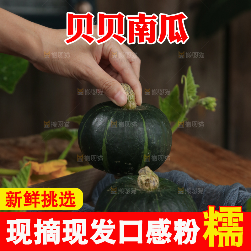 手上拿着贝贝南瓜