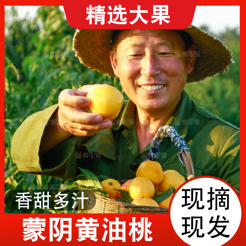 农民手上拿着黄心油桃