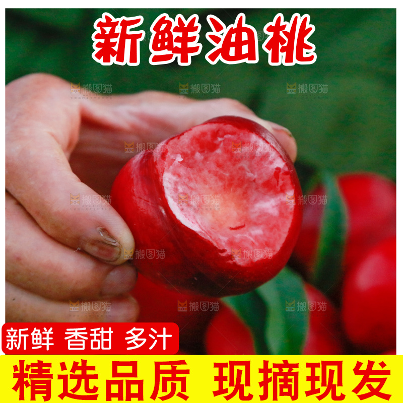 农民手上拿着红油桃