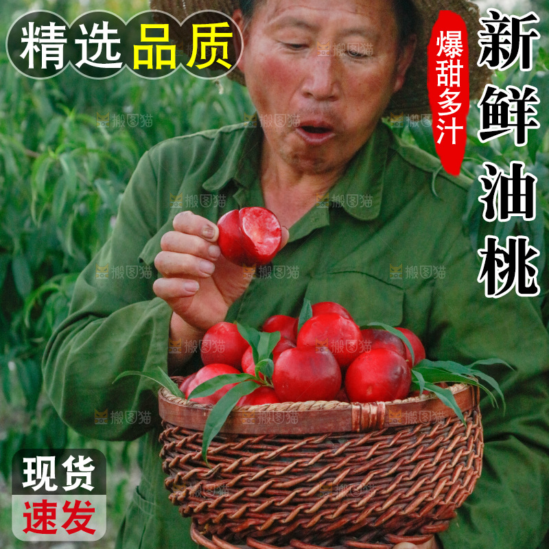 农民手上端着一筐红油桃