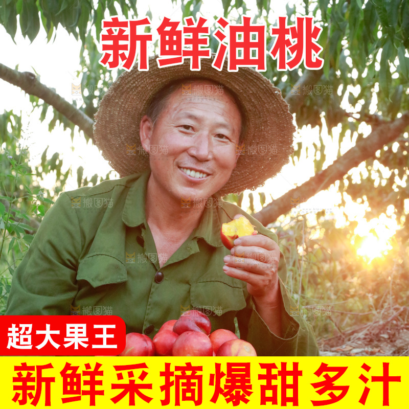 农民手上拿着红油桃