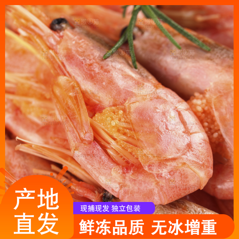 新鲜的北极甜虾