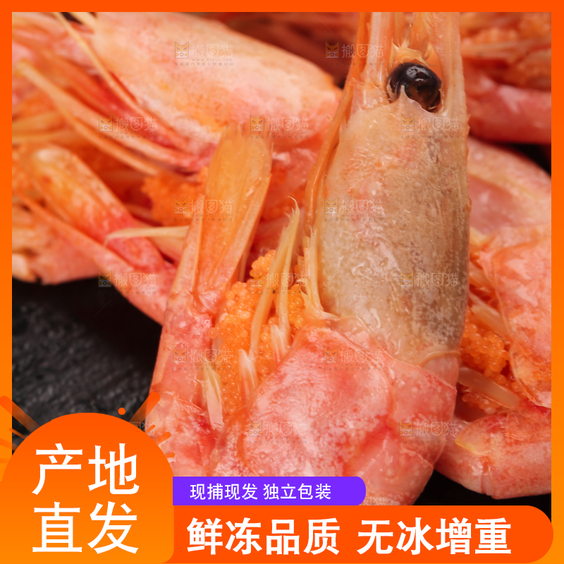 黑底上放着北极甜虾