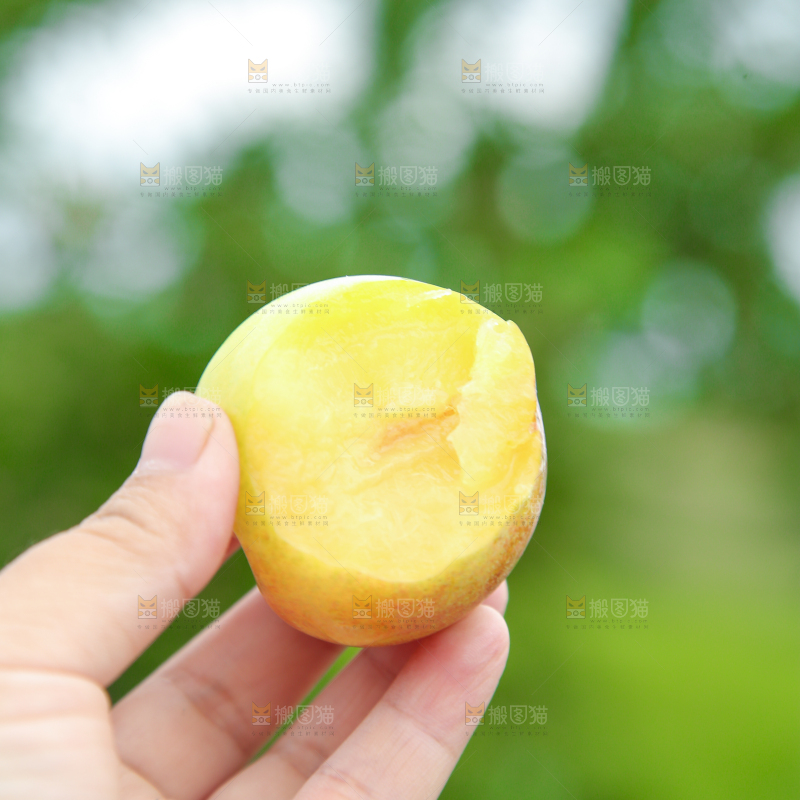 手上拿着李子