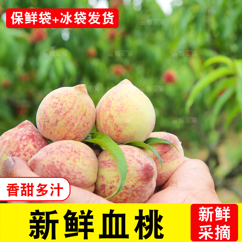 手上拿着胭脂红