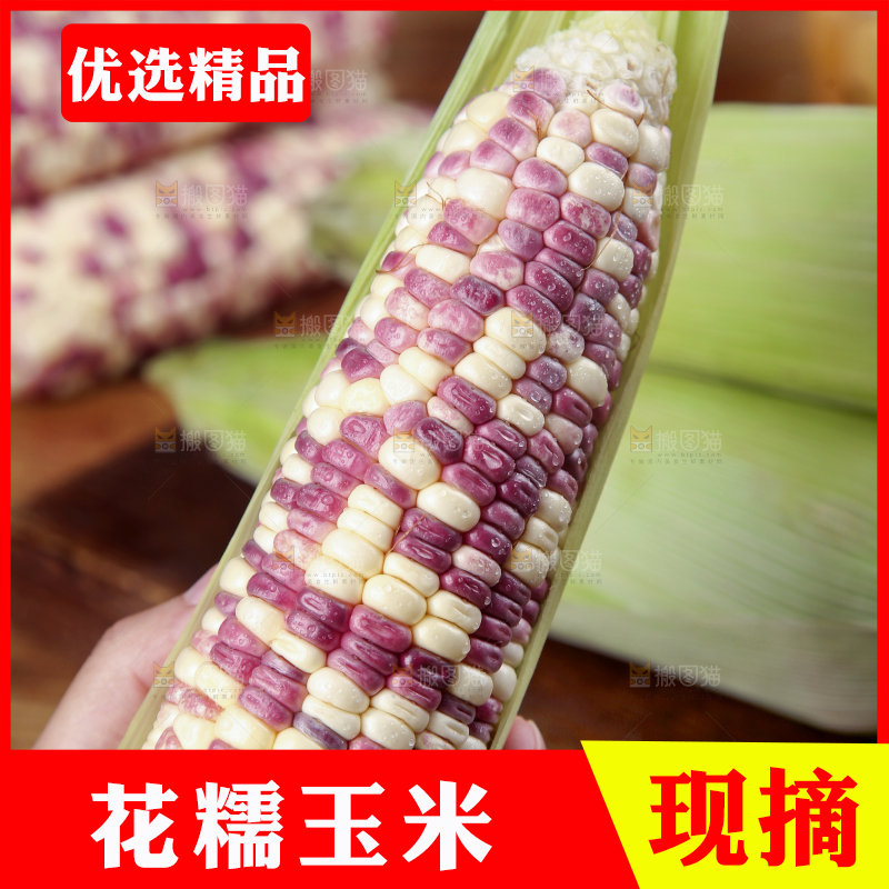 手上拿着花糯玉米