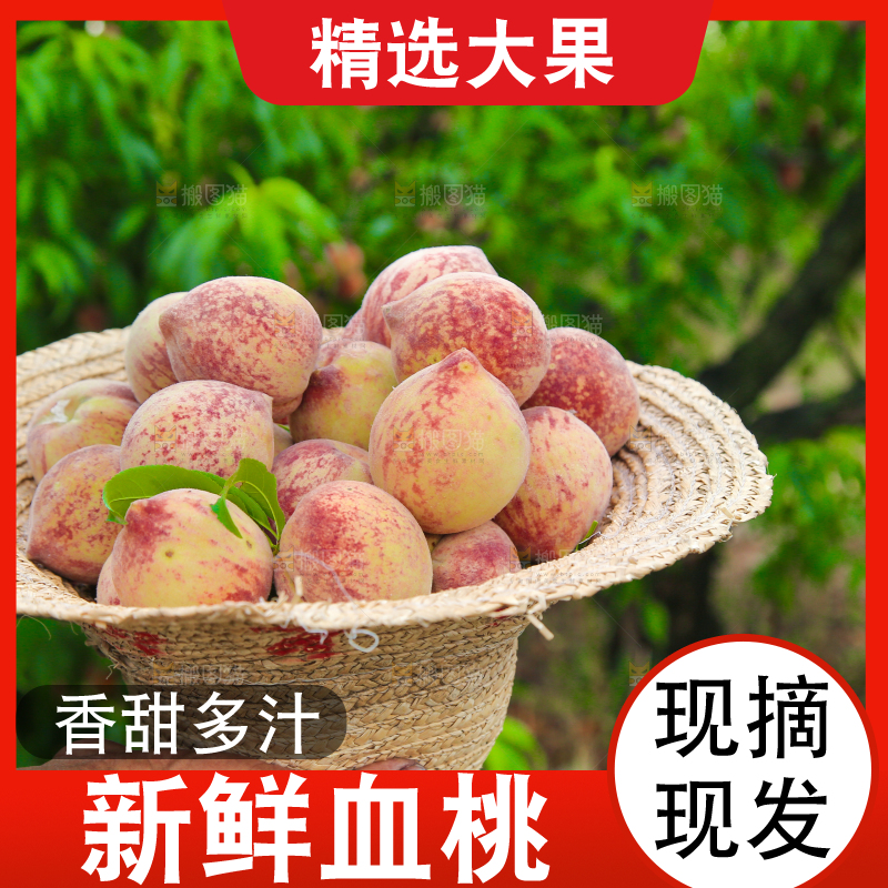 放在帽子里的胭脂红