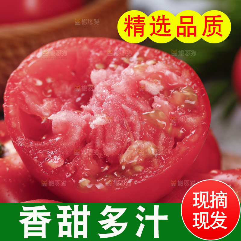 新鲜的沙瓤西红柿