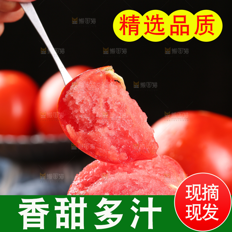 叉子上叉着的普罗旺斯西红柿