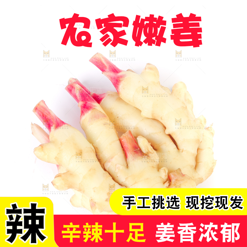 白底上放着一堆嫩姜芽