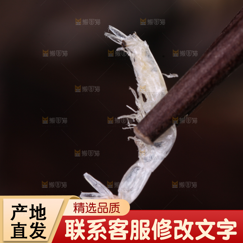 筷子上夹着的虾皮