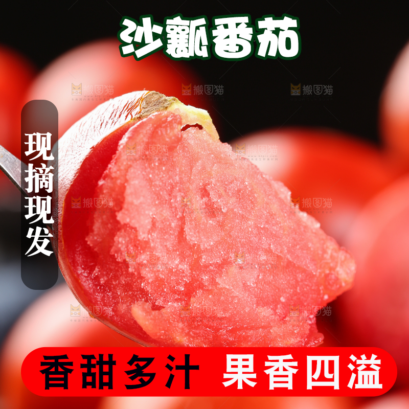 叉子上叉着的普罗旺斯西红柿
