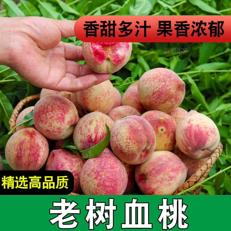 手上拿着胭脂红