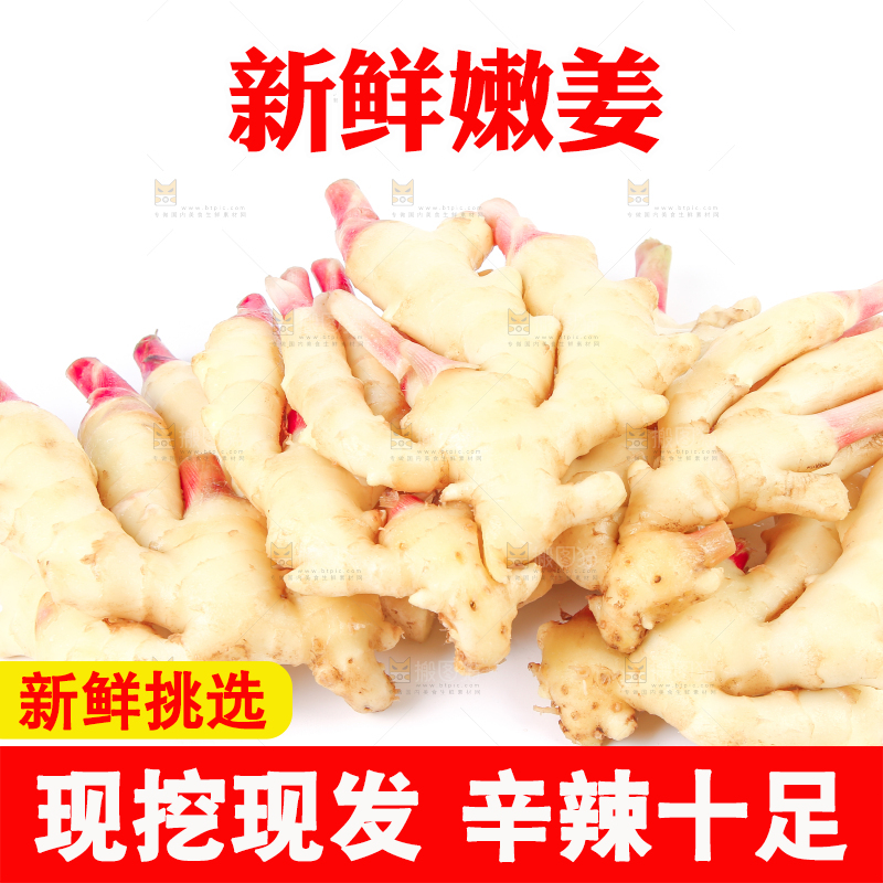 白底上放着一堆嫩姜芽