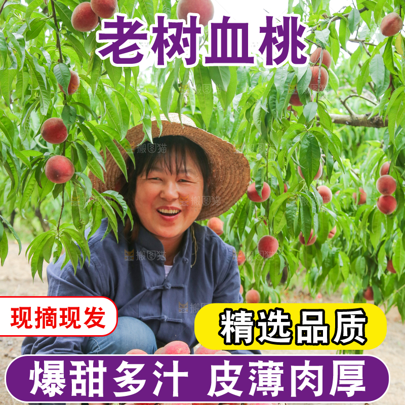 农民手上抱着一篮胭脂红