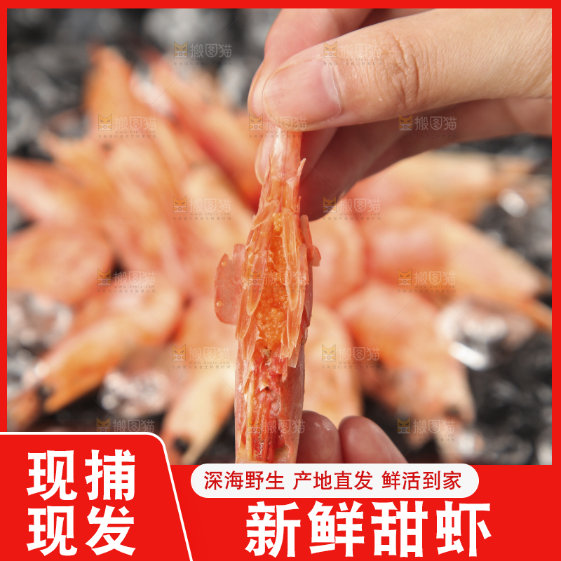 手上拿着北极甜虾