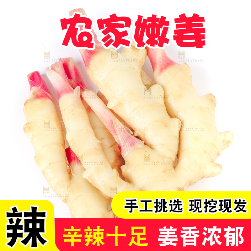 白底上放着嫩姜芽