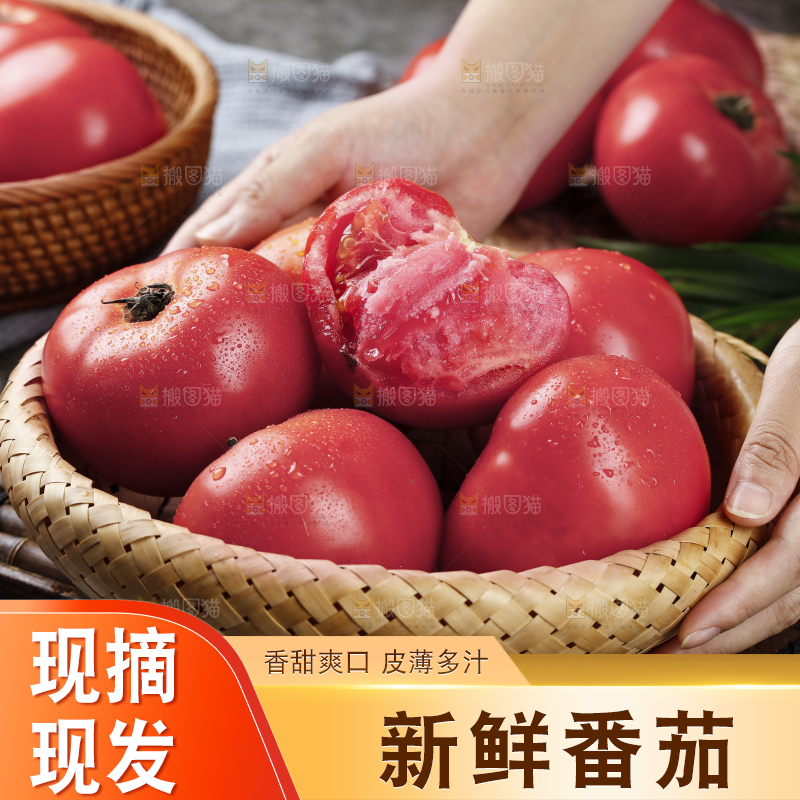 手上端着一篮沙瓤西红柿